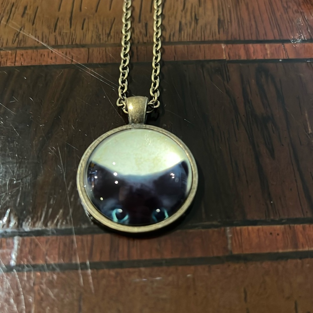Black Cat Kitten Peering Out of a Pendant Necklace on a Golden Bronze Chain